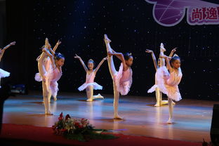 專業攝影攝像服務，定格新會最美瞬間